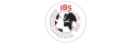 IBS International Business School Ljubljana