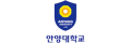 Anyang University
