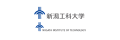 Niigata Institute Of Technology