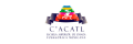 C´Acatl Mexican Folk Dance School   (Escuela Superior de Danza Folklorica Mexicana C´Acatl)
