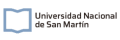 Universidad Nacional De San Martin