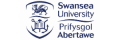 Swansea University