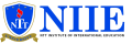 Nguyen Tat Thanh University, NTT Institute of International Education (NIIE)