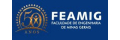 Faculdade de Engenharia de Minas Gerais (FEAMIG)