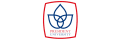 President University