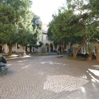 University of Pavia