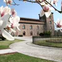 University of Pavia
