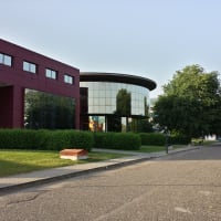 University of Pavia