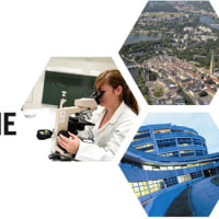 Université de Lorraine