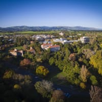 Massey University