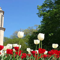 Indiana University Maurer School of Law