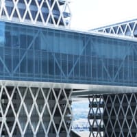 Hong Kong Design Institute