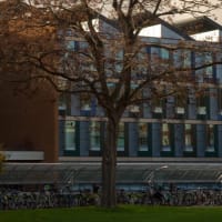 University of Sussex