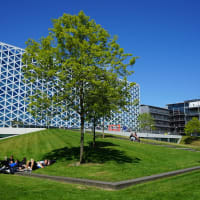 Windesheim University of Applied Sciences