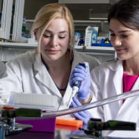 Carleton University Undergraduate