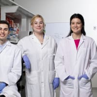 Carleton University Undergraduate