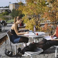 Umeå University - Faculty of Science and Technology