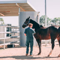 Charles Sturt University