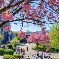 Paderborn University