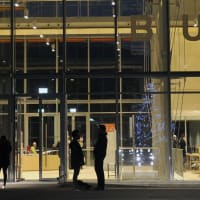 University of Trento
