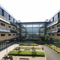 Edinburgh College