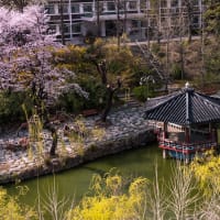 Inha University