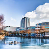 Inha University