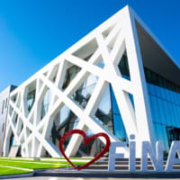 Final International University in Cyprus