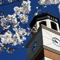 Western Kentucky University
