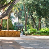 Lebanese American University Online