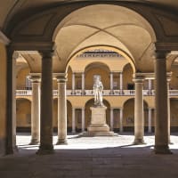 University of Pavia