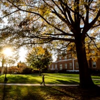 Wake Forest University