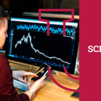 Schiller International University