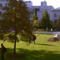 American University Online