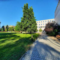 University of Nyiregyhaza