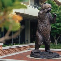 Mercer University