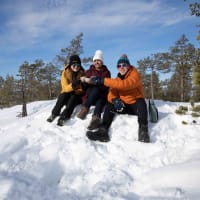 University of Lapland