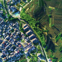 IHS, Institute For Housing and Urban Development Studies of Erasmus University Rotterdam