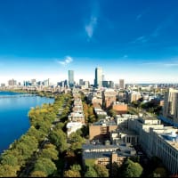 Boston University School of Law