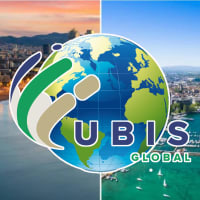 UBIS Extension - Micro Degrees