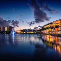 University of Miami Department of Cinematic Arts