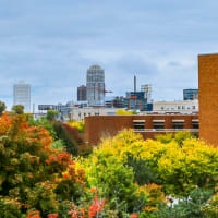 University of Minnesota – Carlson School of Management