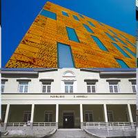 University of Insubria