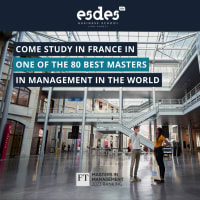 ESDES Lyon Business School