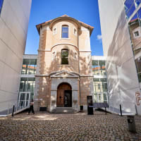 ESDES Lyon Business School