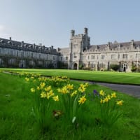 Cork University Business School