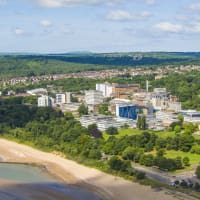 Swansea University