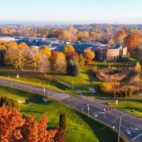 Redeemer University