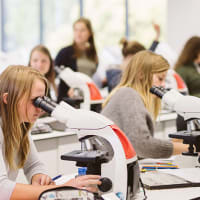 University of Antwerp