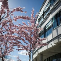 Swedish University of Agricultural Sciences
